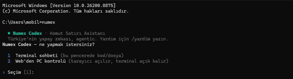 numex menüsü