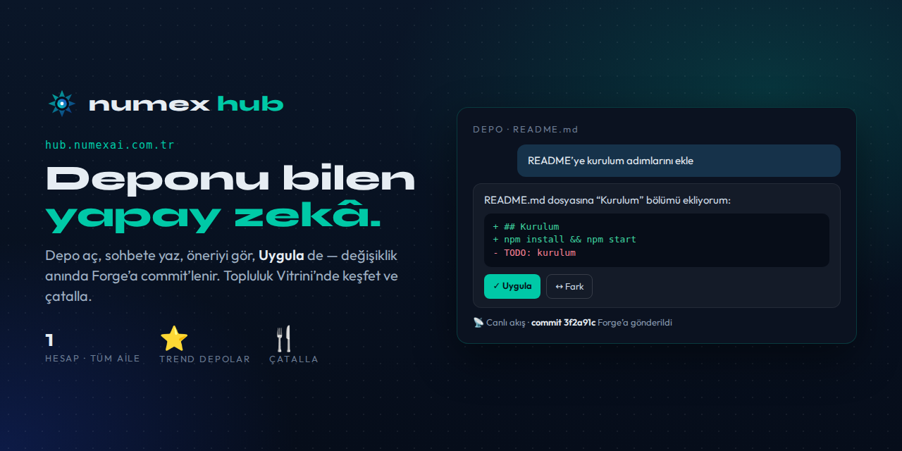 Numex Hub — The AI that knows your repo