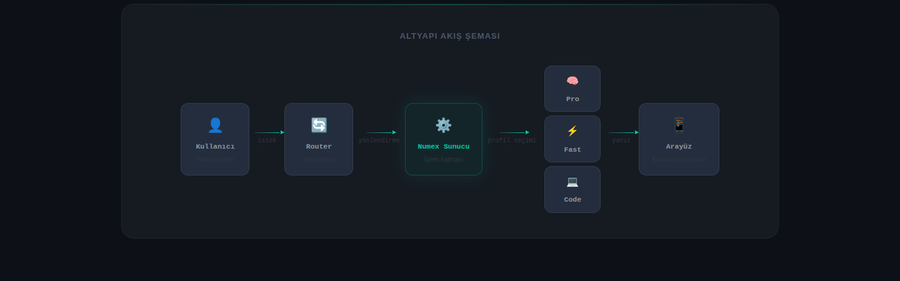 Profil akışı: Kullanıcı → Router → Numex Sunucu → Pro/Fast/Code